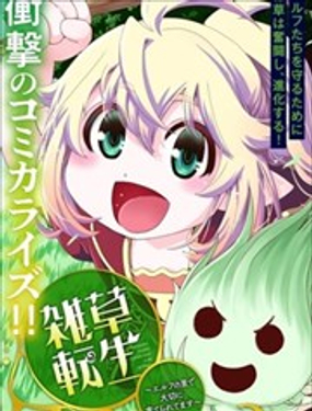 转生杂草在精灵村庄被精心抚养