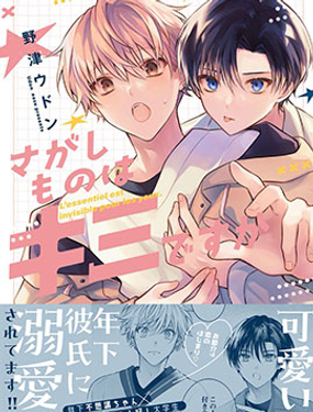 你是我的所寻之物吗