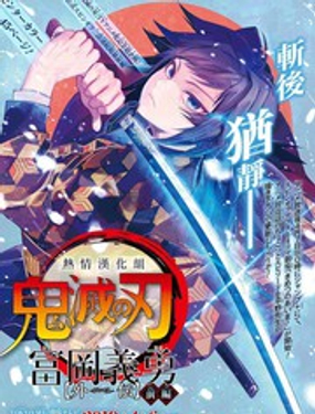 灭鬼之刃 富冈义勇外传