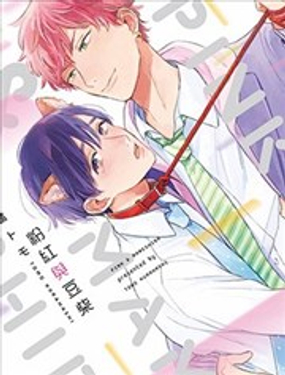 粉红与豆柴系列