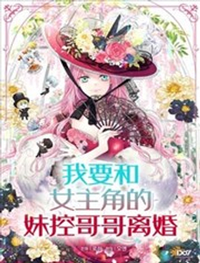 我要和女主角的妹控哥哥离婚