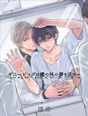 实验用小鼠不会梦见监狱之外