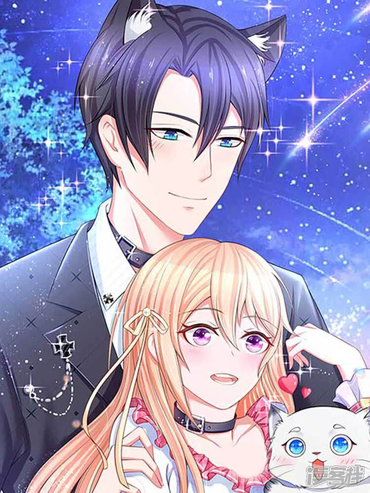 入骨婚宠霸道总裁的错嫁小甜心