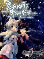 黑夜的月下降落的白雪