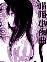 喵喵小夜曲