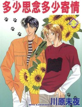 多少思念多少寄情